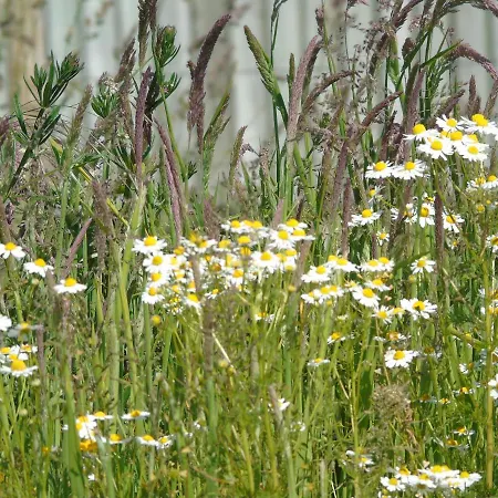 Casa vacanze The Retreat York