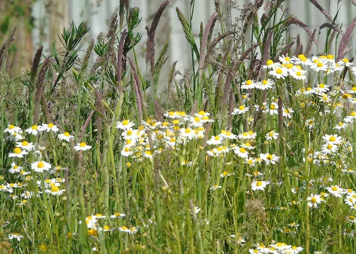 Дом отдыха The Retreat Йорк